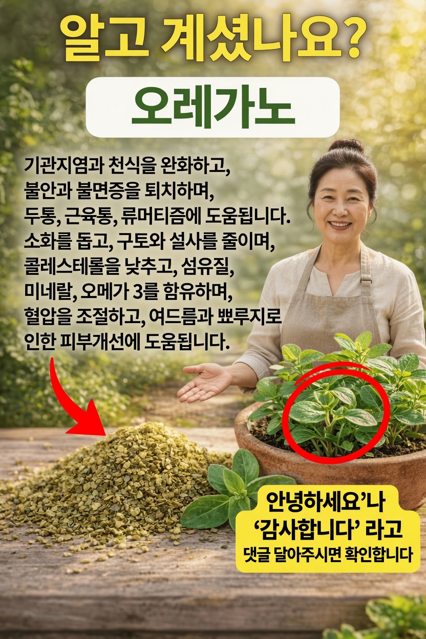 오레가노가 일상적인 웰니스 루틴에 도움이 될 수 있는 놀라운 방법 발견하기