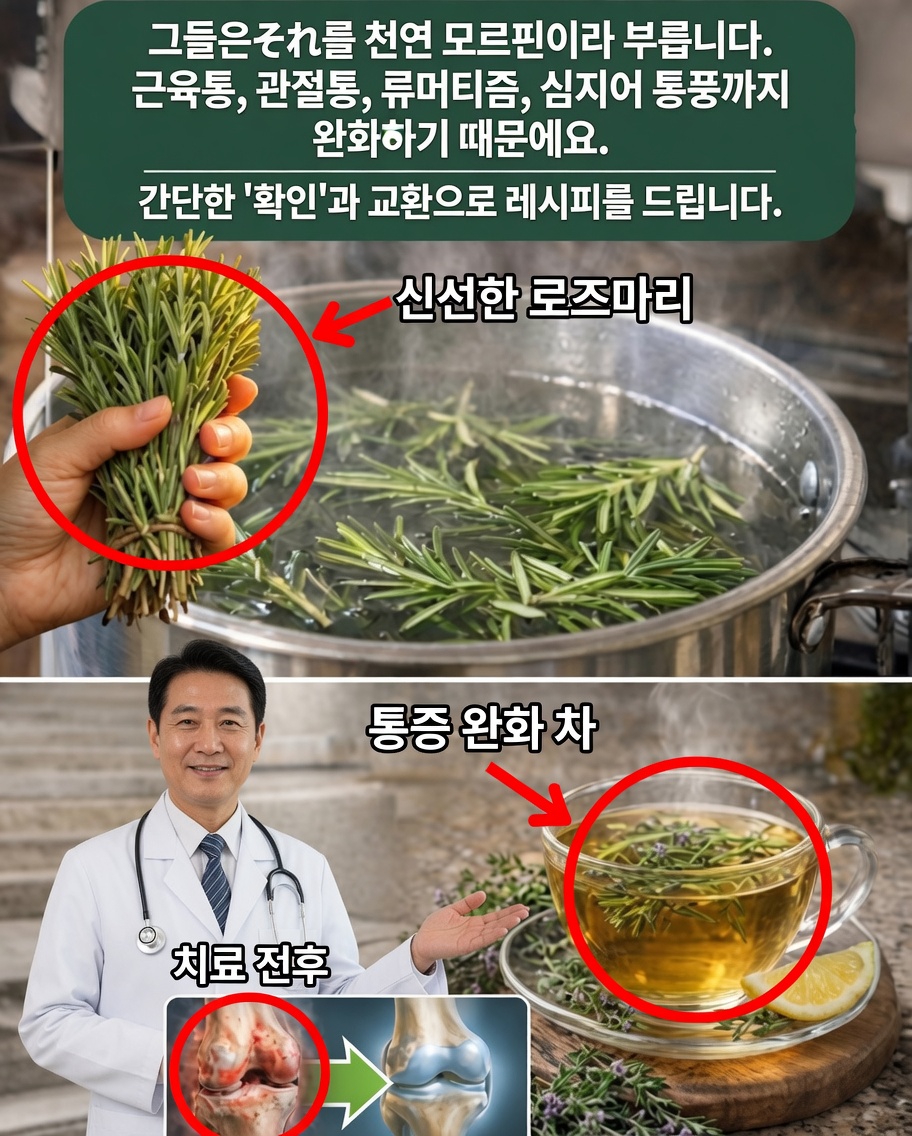 🌿 로즈마리: 건강, 정신, 웰빙을 위한 강력한 약용 식물