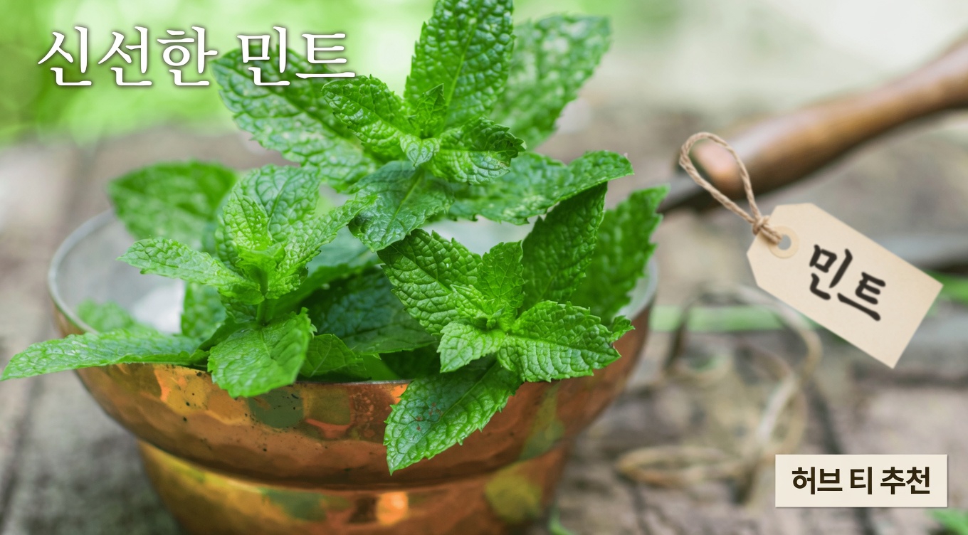 침묵의 도둑: 약에 의존하지 않고 동맥 건강을 자연스럽게 지키는 방법