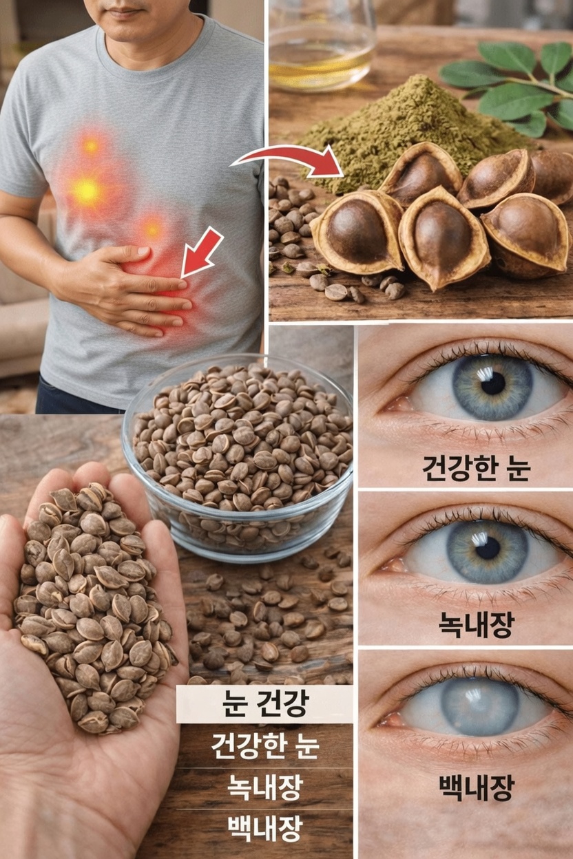 모링가 씨앗이 전반적인 웰니스를 지원할 수 있는 놀라운 12가지 방법(새롭게 떠오르는 연구로 뒷받침됨)