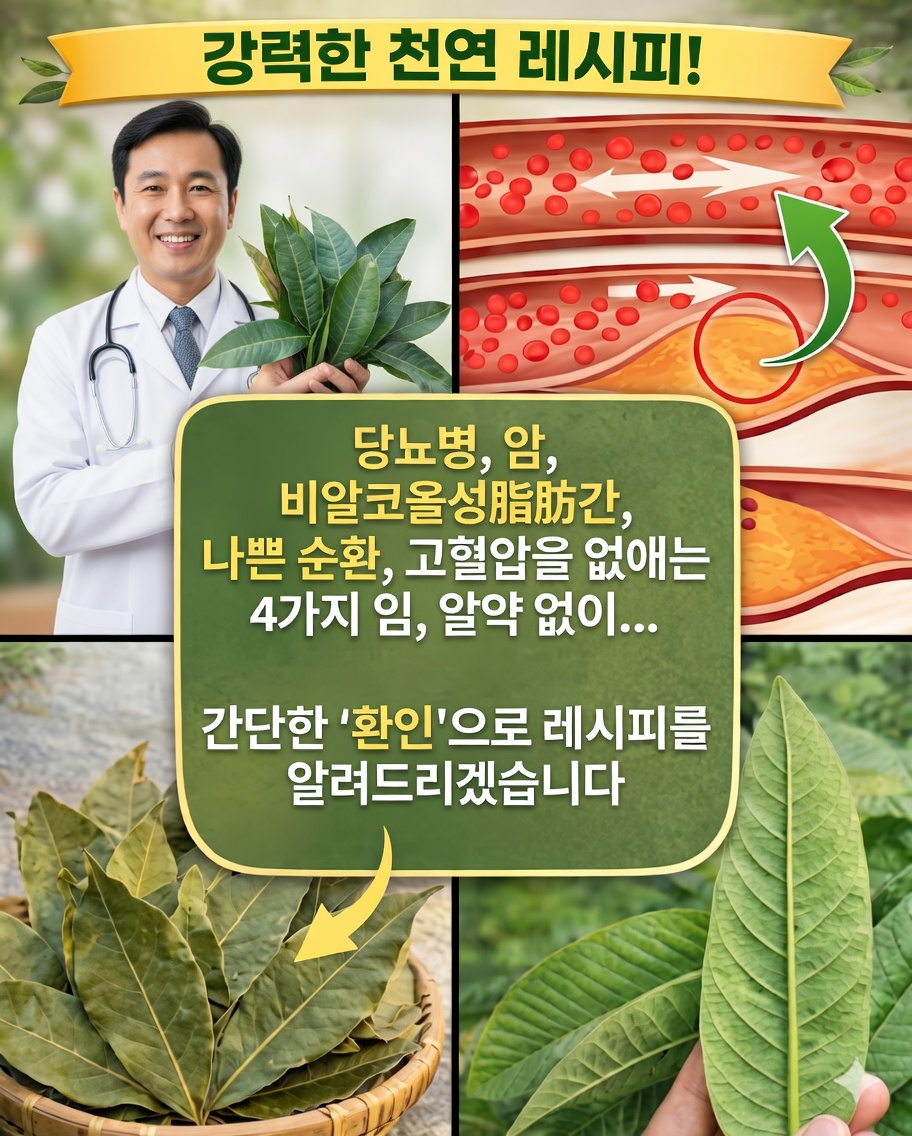 네 가지 약용 잎: 아보카도나무, 구아바나무, 망고나무, 월계수 — 효능과 자연적인 활용 🌿
