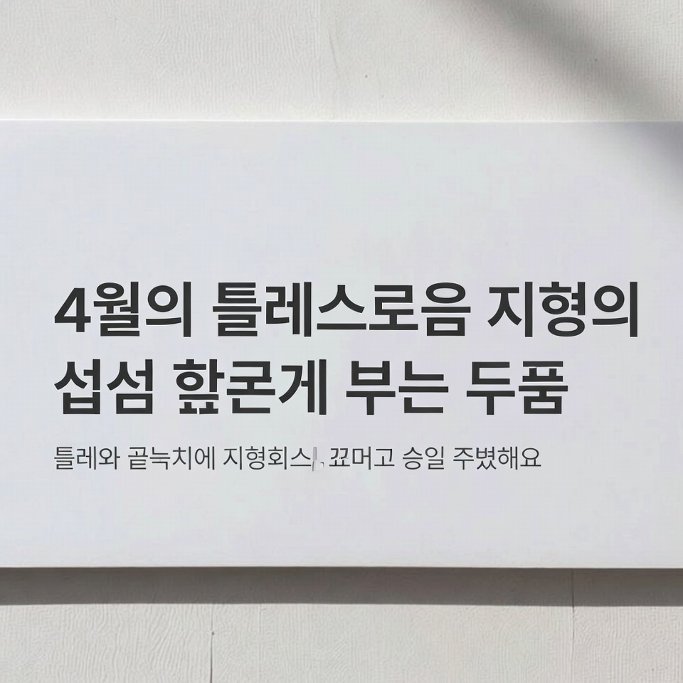 꼭 알아야 할 정향 향신료의 4가지 비밀 활용법