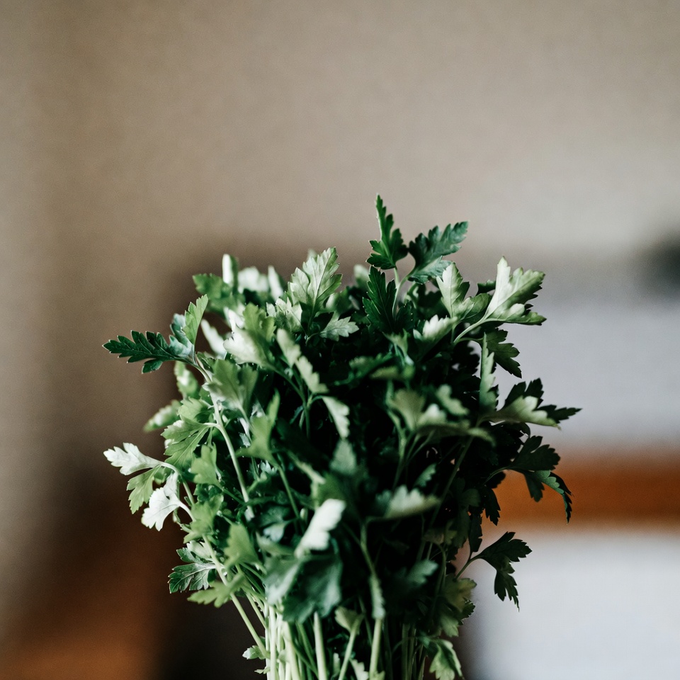 파슬리: 우리 할머니들이 다리가 무겁고 수분 저류가 있을 때 사용하던 간단한 치료법