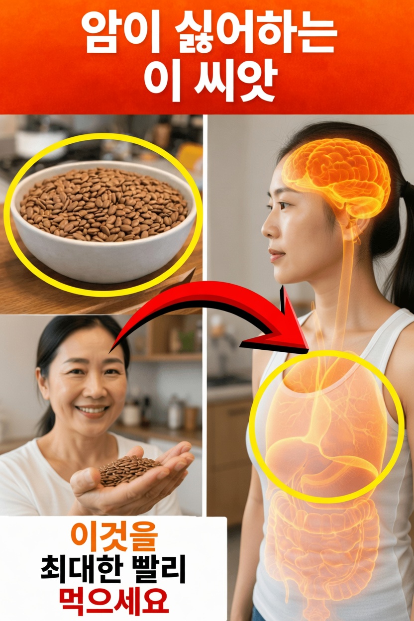 전반적인 건강과 활력을 높이기 위해 노년층이 매일 먹을 수 있는 영양이 풍부한 씨앗 6가지 – 간단한 팁