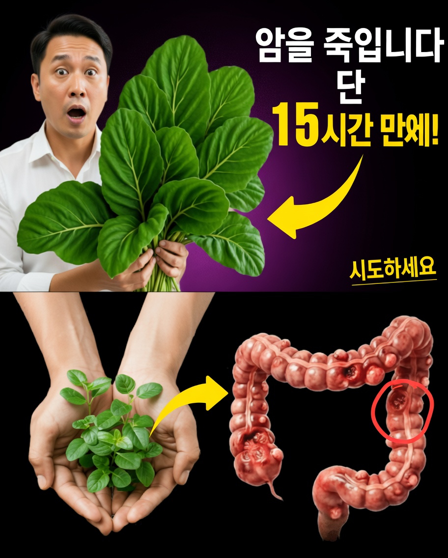 당신의 몸이 암세포와 싸우는 데 도움을 줄 수 있는, 간과되어 온 잎사귀 (그리고 대형 제약회사가 당신이 알지 못하길 바라는 14가지 천연 전략)