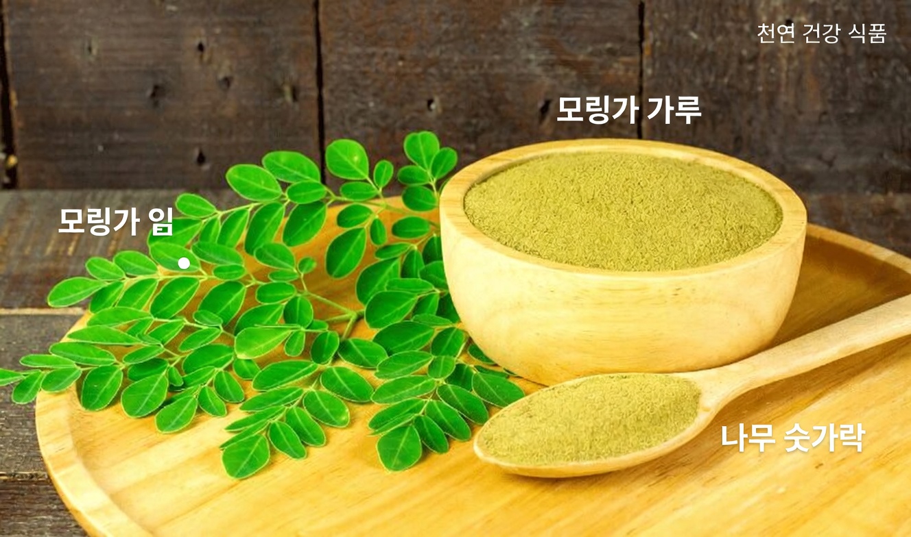 당신의 몸이 암세포와 싸우는 데 도움을 줄 수 있는, 간과되어 온 잎사귀 (그리고 대형 제약회사가 당신이 알지 못하길 바라는 14가지 천연 전략)