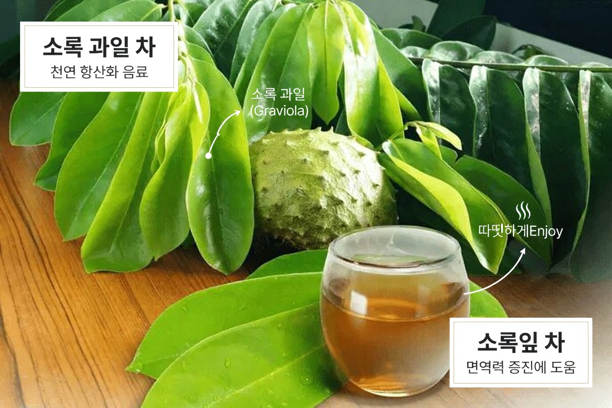 당신의 몸이 암세포와 싸우는 데 도움을 줄 수 있는, 간과되어 온 잎사귀 (그리고 대형 제약회사가 당신이 알지 못하길 바라는 14가지 천연 전략)