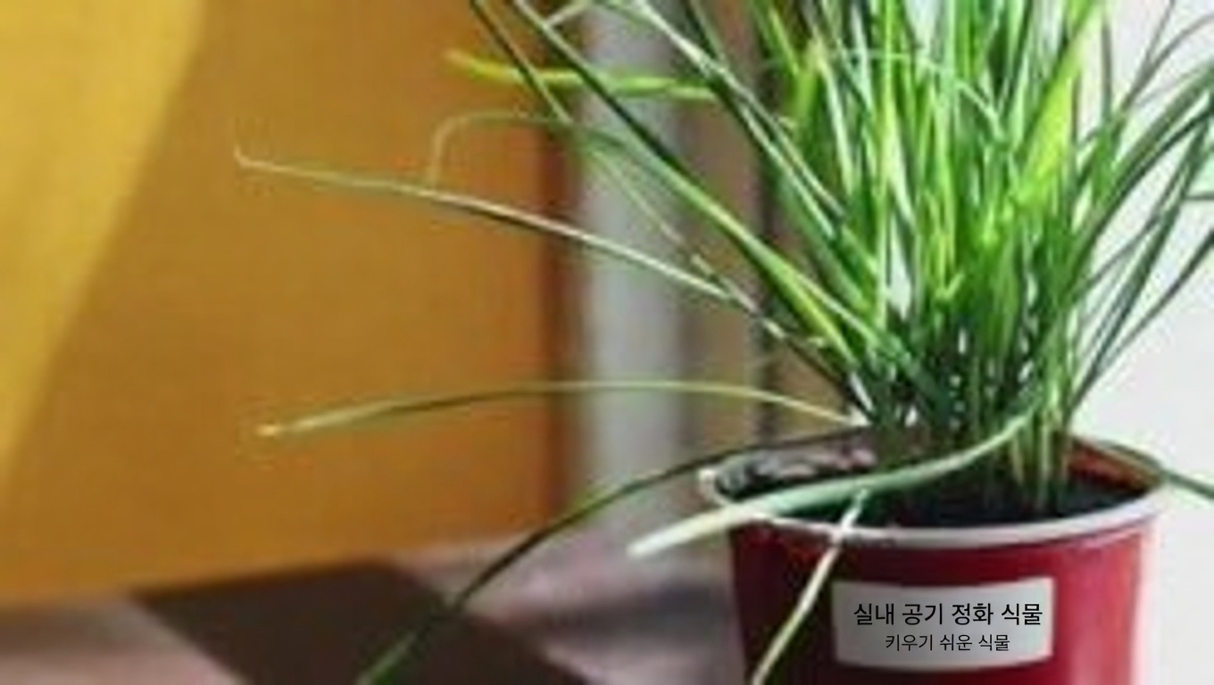 허니 로커스트 나무의 숨겨진 힘: 효능과 집에서 활용하는 방법