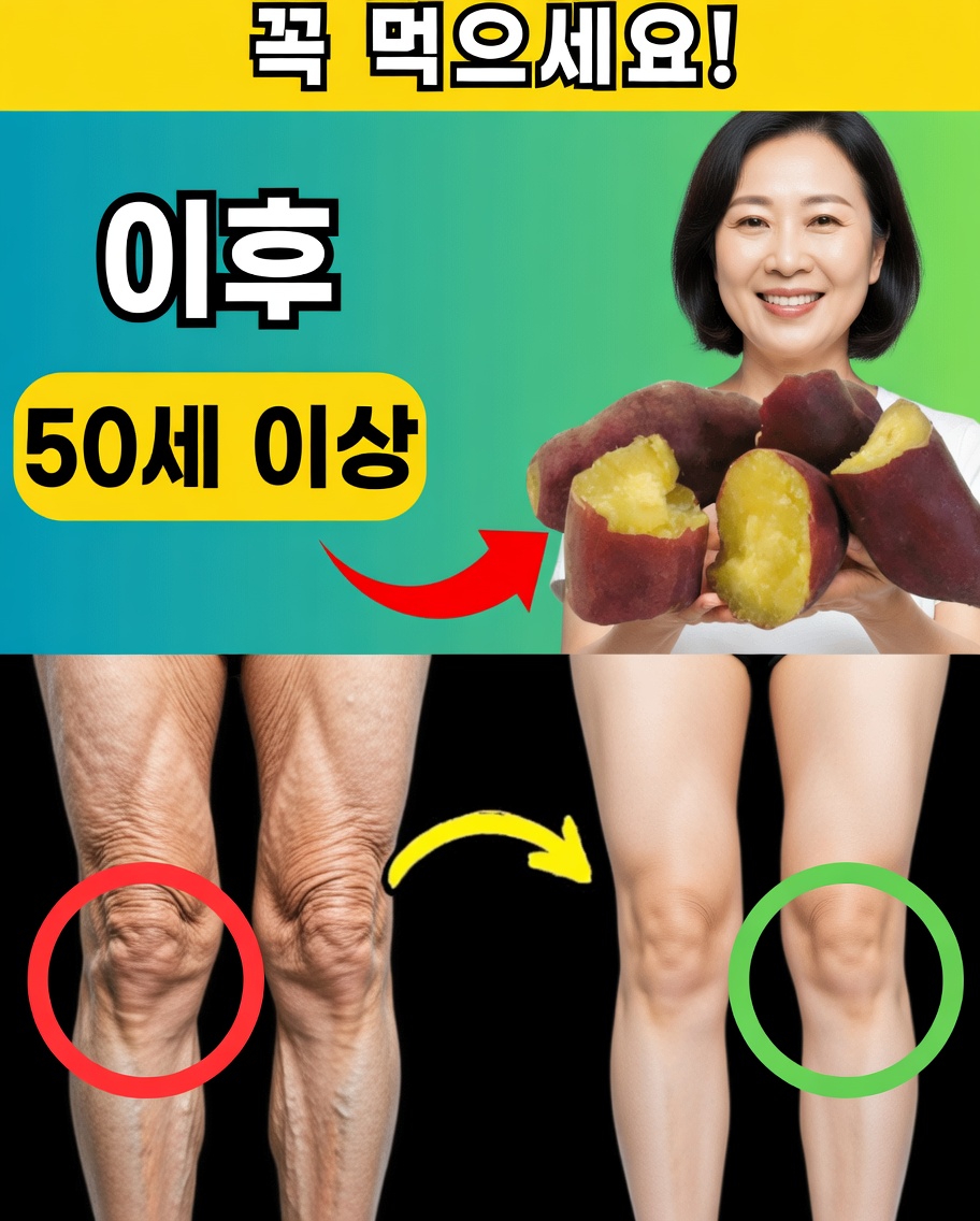 50세 이후 매일 이 12가지 천연 식품을 드세요 – 더 많은 에너지, 더 튼튼한 뼈, 더 또렷한 기억력을 얻으세요
