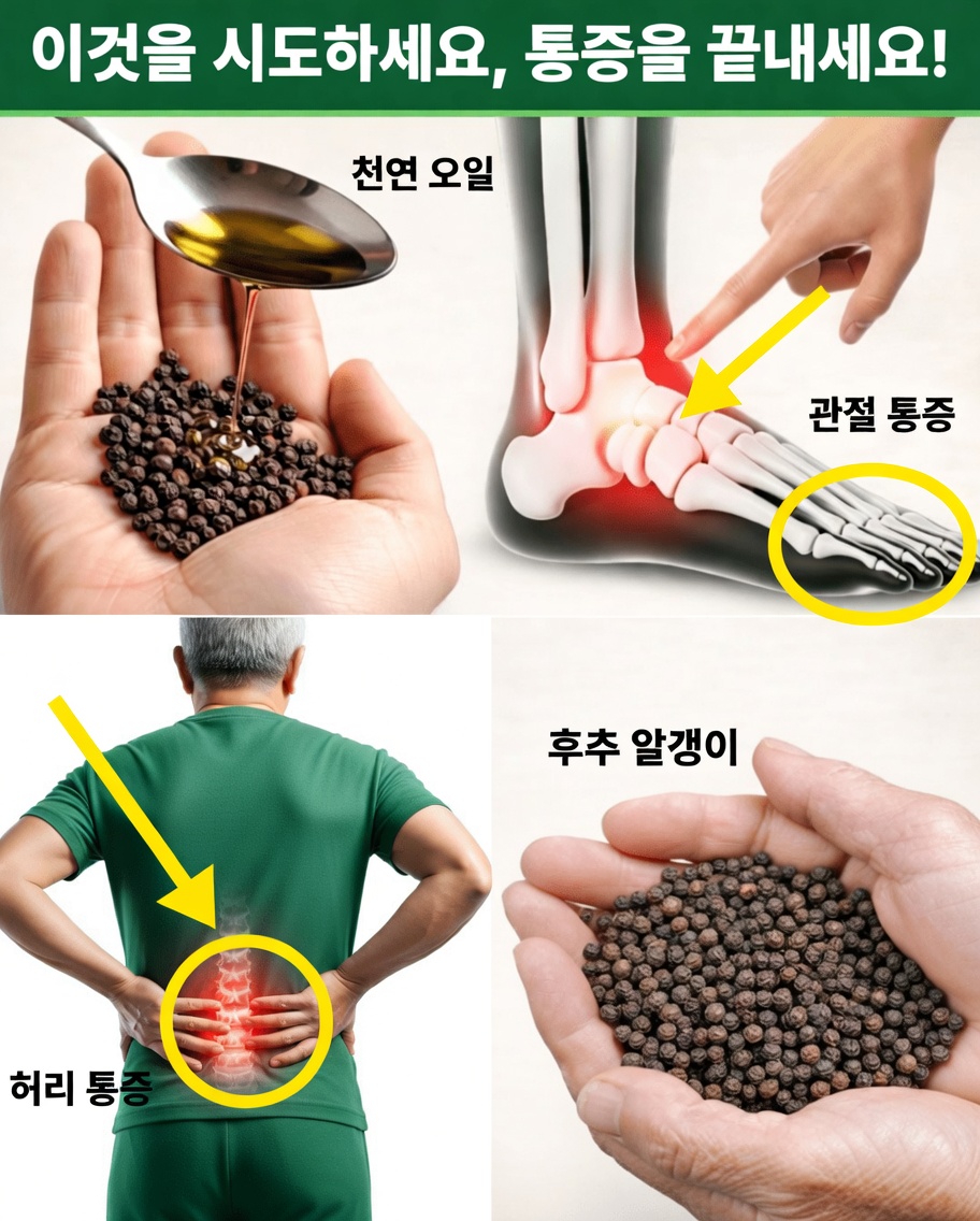 60세 이상 성인을 위한 올리브 오일과 흑후추를 함께 섭취할 때의 잠재적인 건강 효능 발견하기