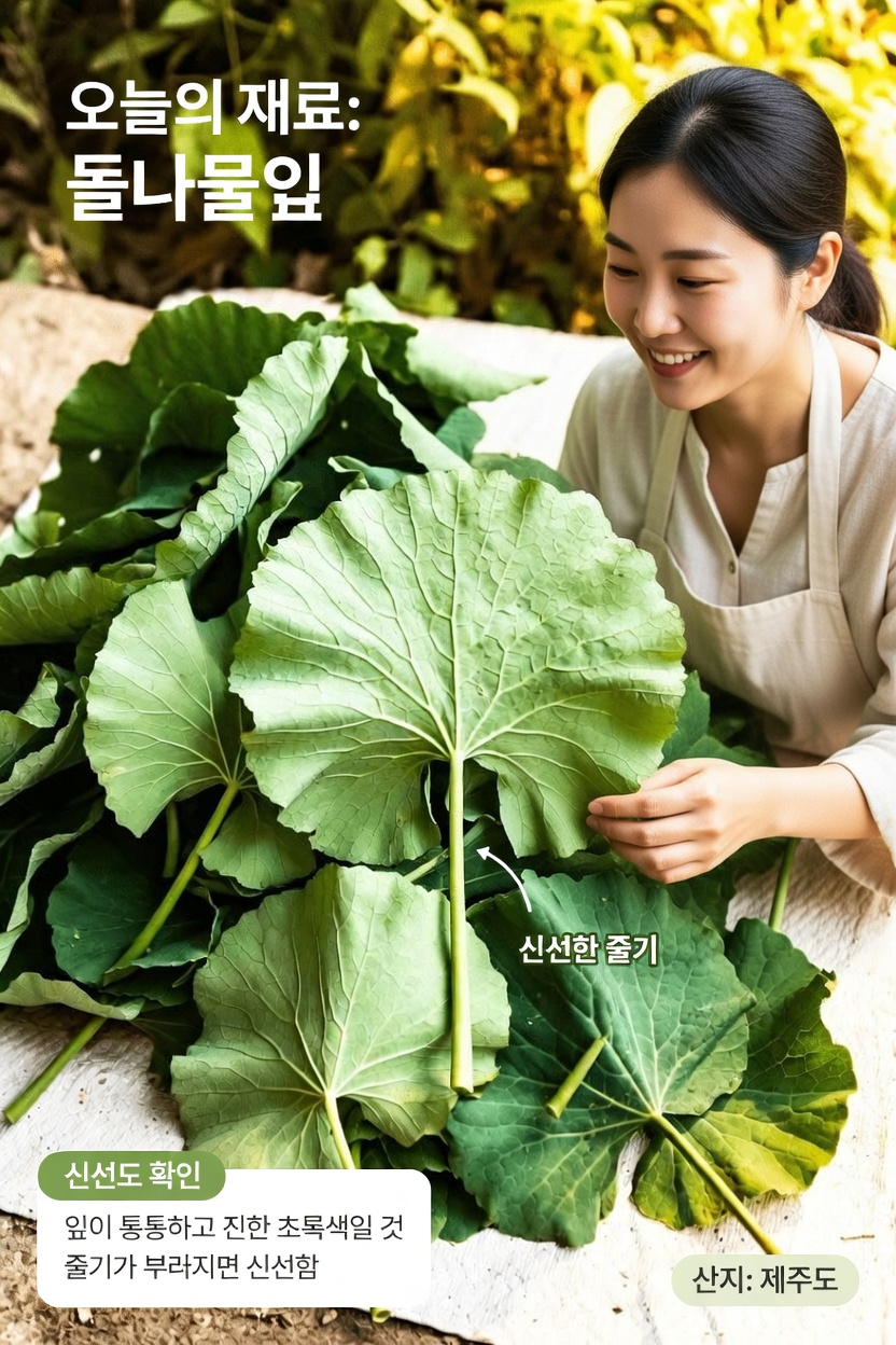 간단한 일상 허브가 자연스럽게 편안하고 선명한 시야를 돕는 방법을 알아보세요