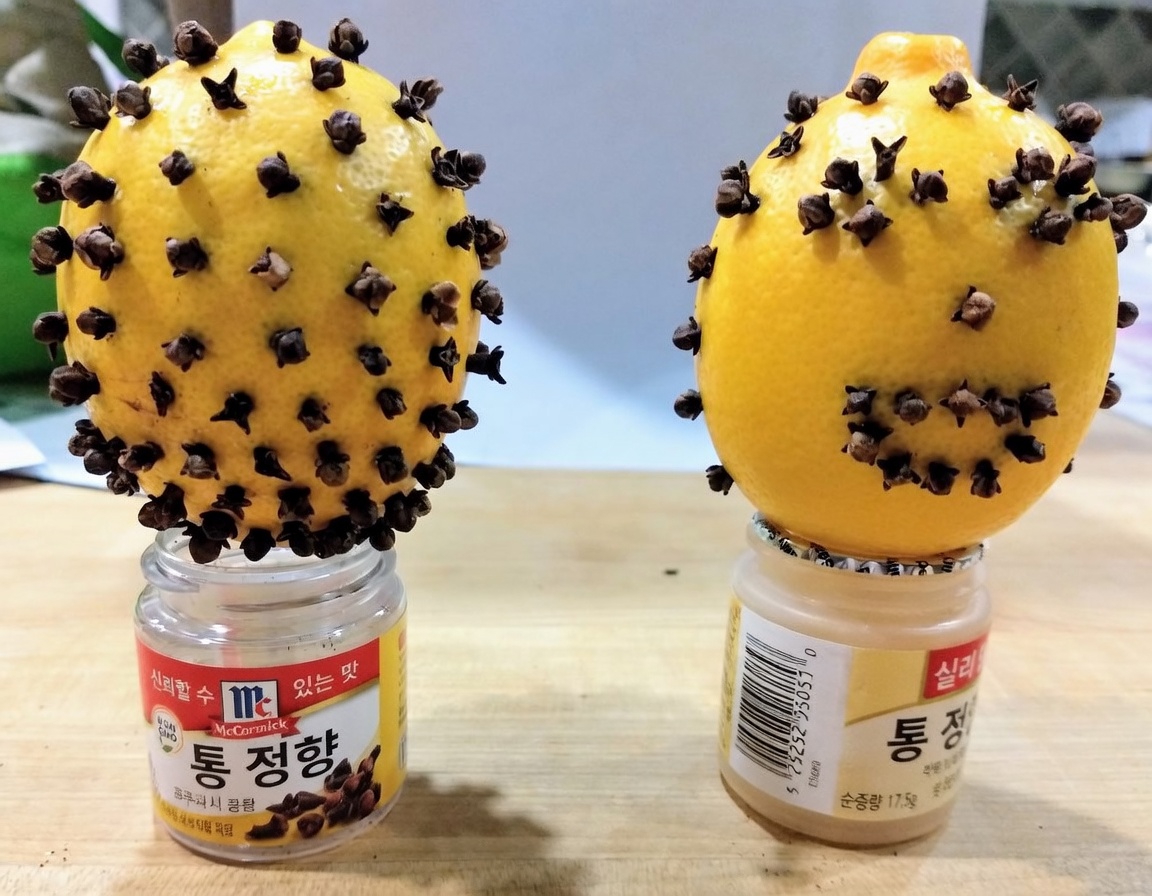 집에서 건강을 위한 자연의 조합을 발견하세요