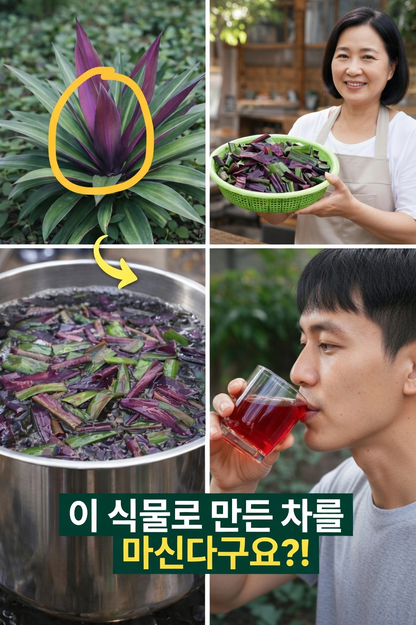 전반적인 웰빙과 활력을 위해 일상 습관에서 모세의 요람 식물을 활용하는 방법 알아보기