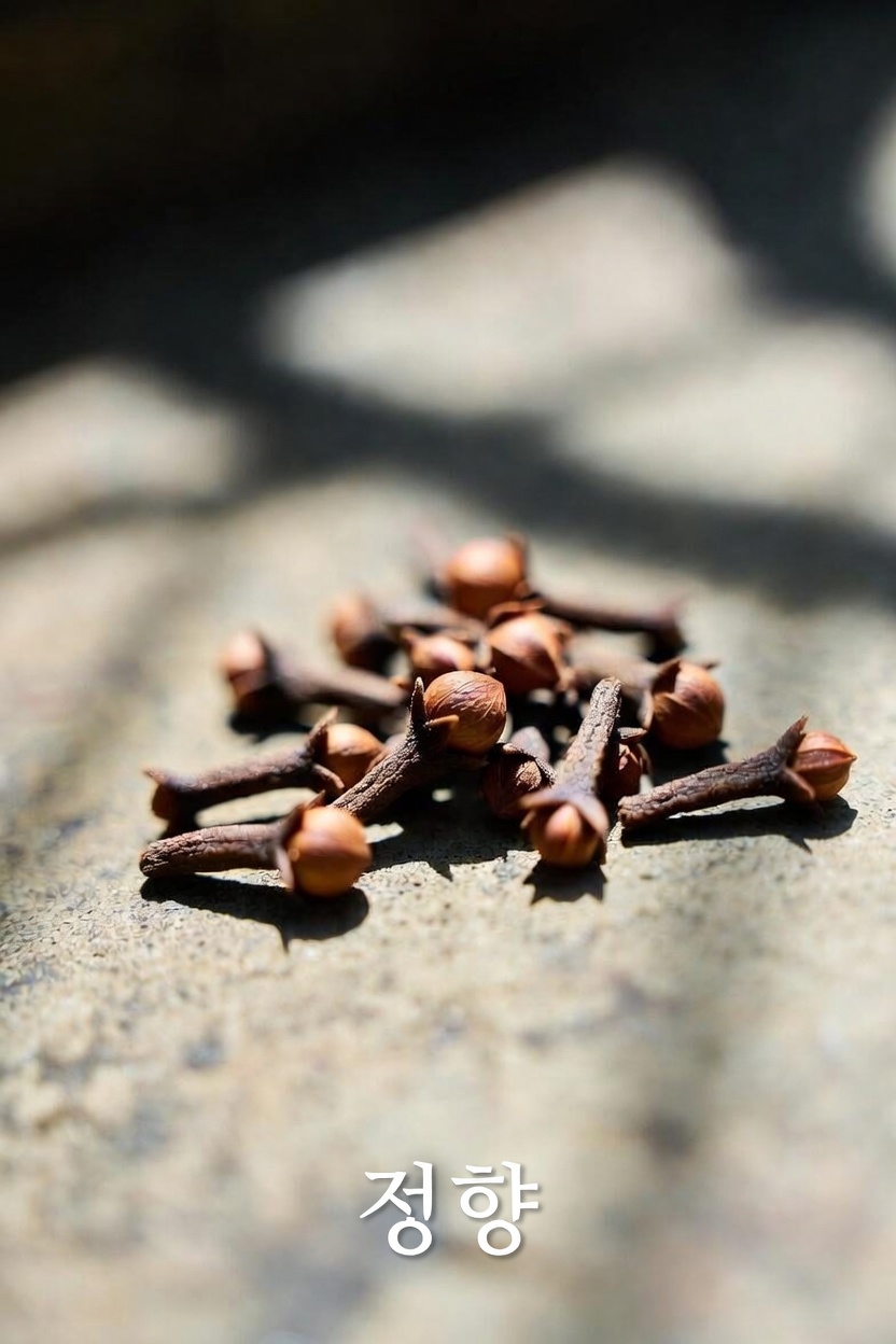 정향을 씹을 때 가장 흔한 실수는 무엇이며, 이를 어떻게 안전하게 피할 수 있을까요?