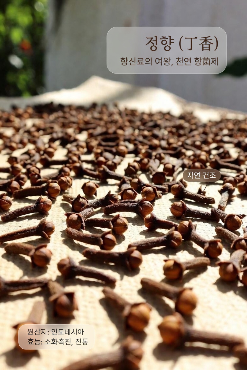 정향을 씹을 때 가장 흔한 실수는 무엇이며, 이를 어떻게 안전하게 피할 수 있을까요?