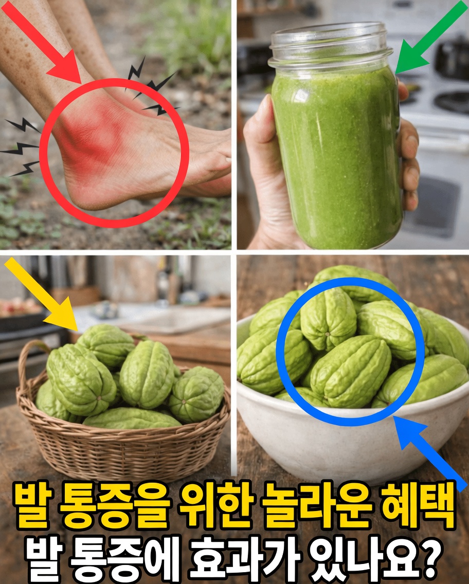 다재다능한 차요테를 만나보세요: 영양 가득한 이 채소를 매일 식사에 간단히 더해 건강을 높이는 방법