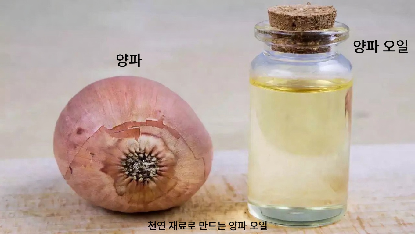 1주일 양파 오일 루틴이 천연 헤어 케어에서 주목받는 이유