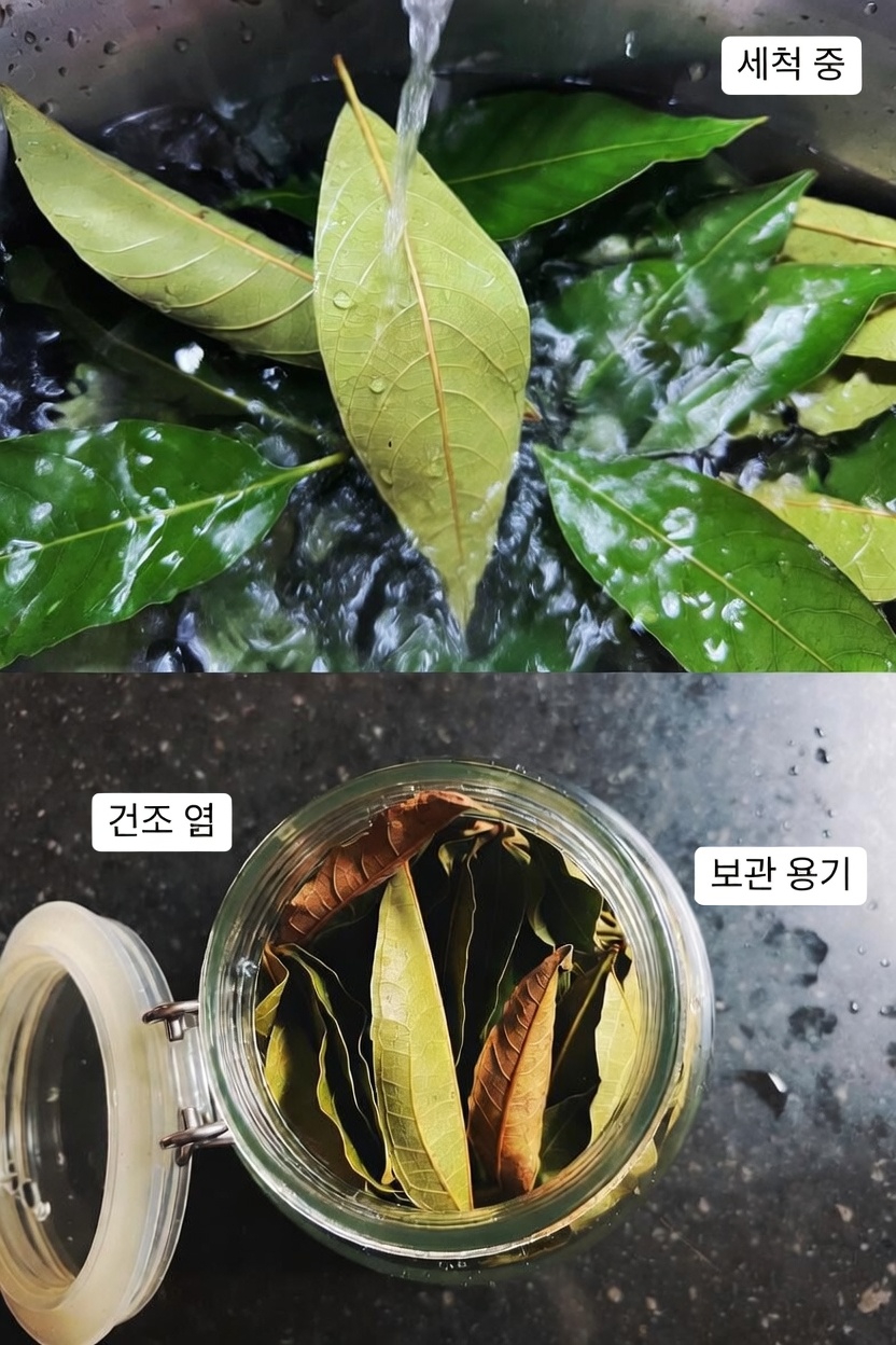 뼈와 관절 건강을 위한 구아바 잎: 오늘 집에서 바로 시도할 수 있는 쉬운 레시피와 팁