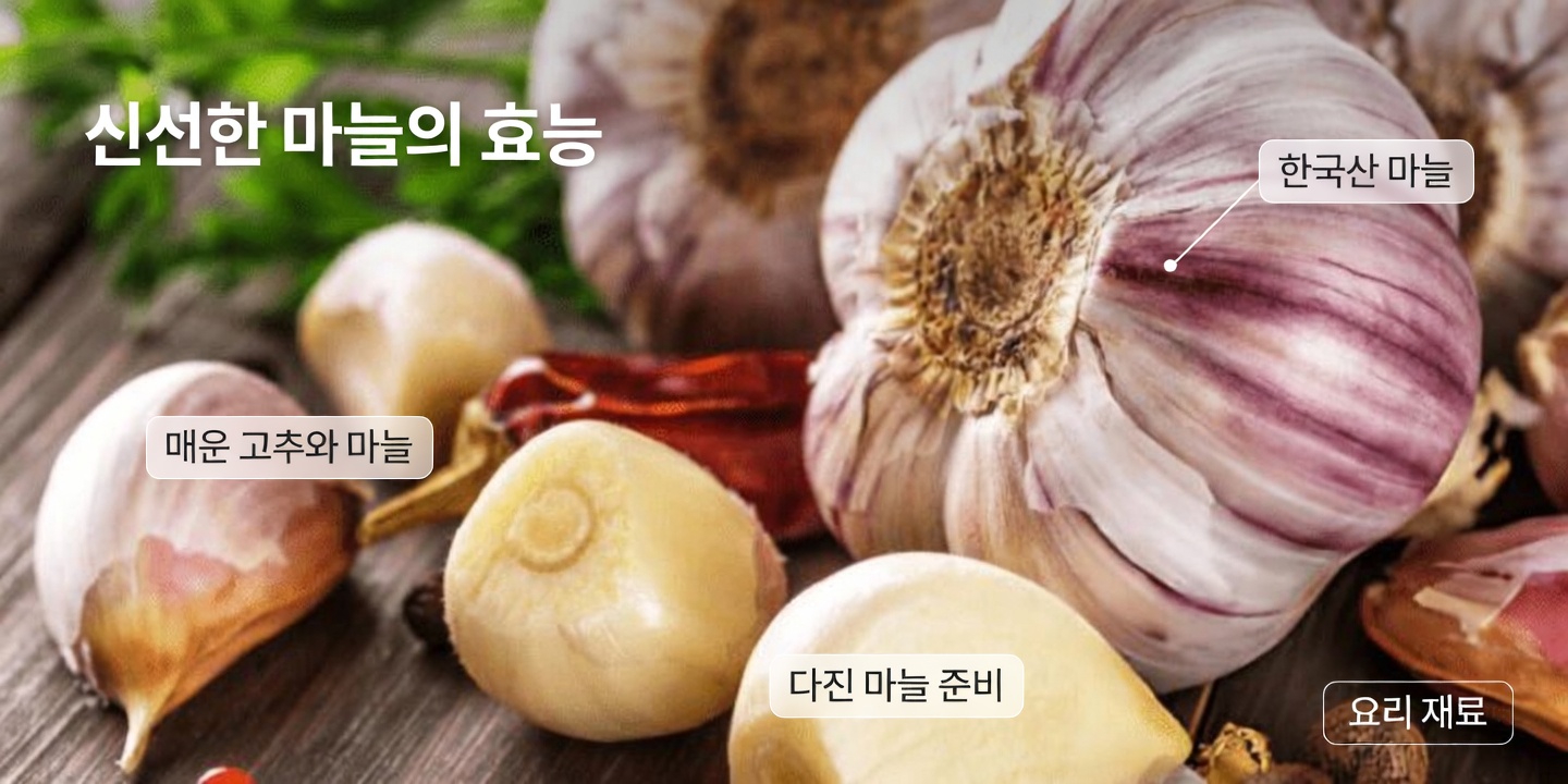 마늘이 14가지 박테리아와 13가지 감염을 죽인다는 것이 사실인가요?