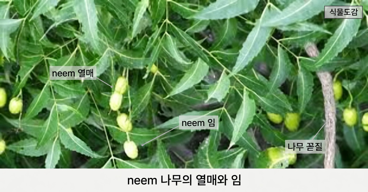 60세 이상 미국인들에게 약통을 조용히 구식으로 만들고 있는 단 하나의 쓴 잎