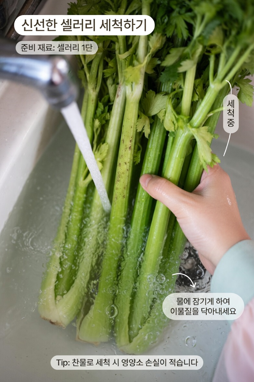 셀러리 주스: 일상에 더 많은 영양과 수분을 더하는 간단한 방법