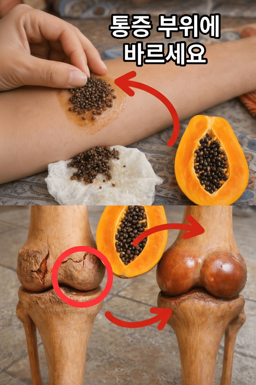 파파야 씨앗: 일상적인 관절 편안함과 움직임 지원을 위해 살펴볼 수 있는 간단한 가정 요법