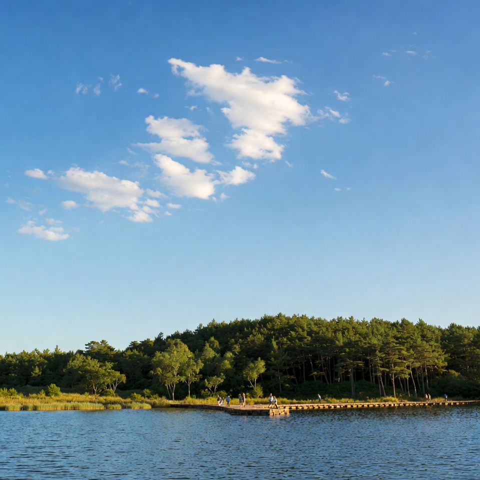 60세 이후 더 튼튼한 다리를 위한 한 모금: 활력을 주는 자연의 최고 음료들