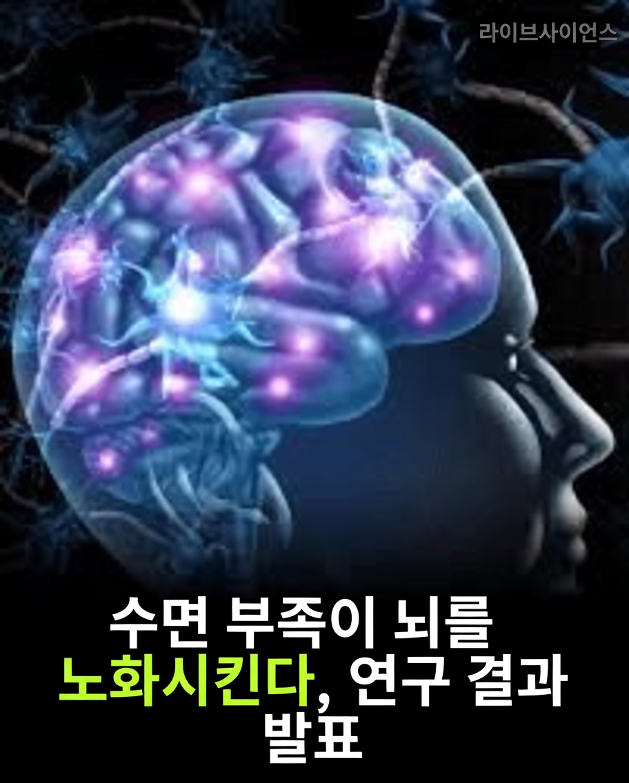 수면 습관과 노년기 뇌 건강 사이의 놀라운 연관성