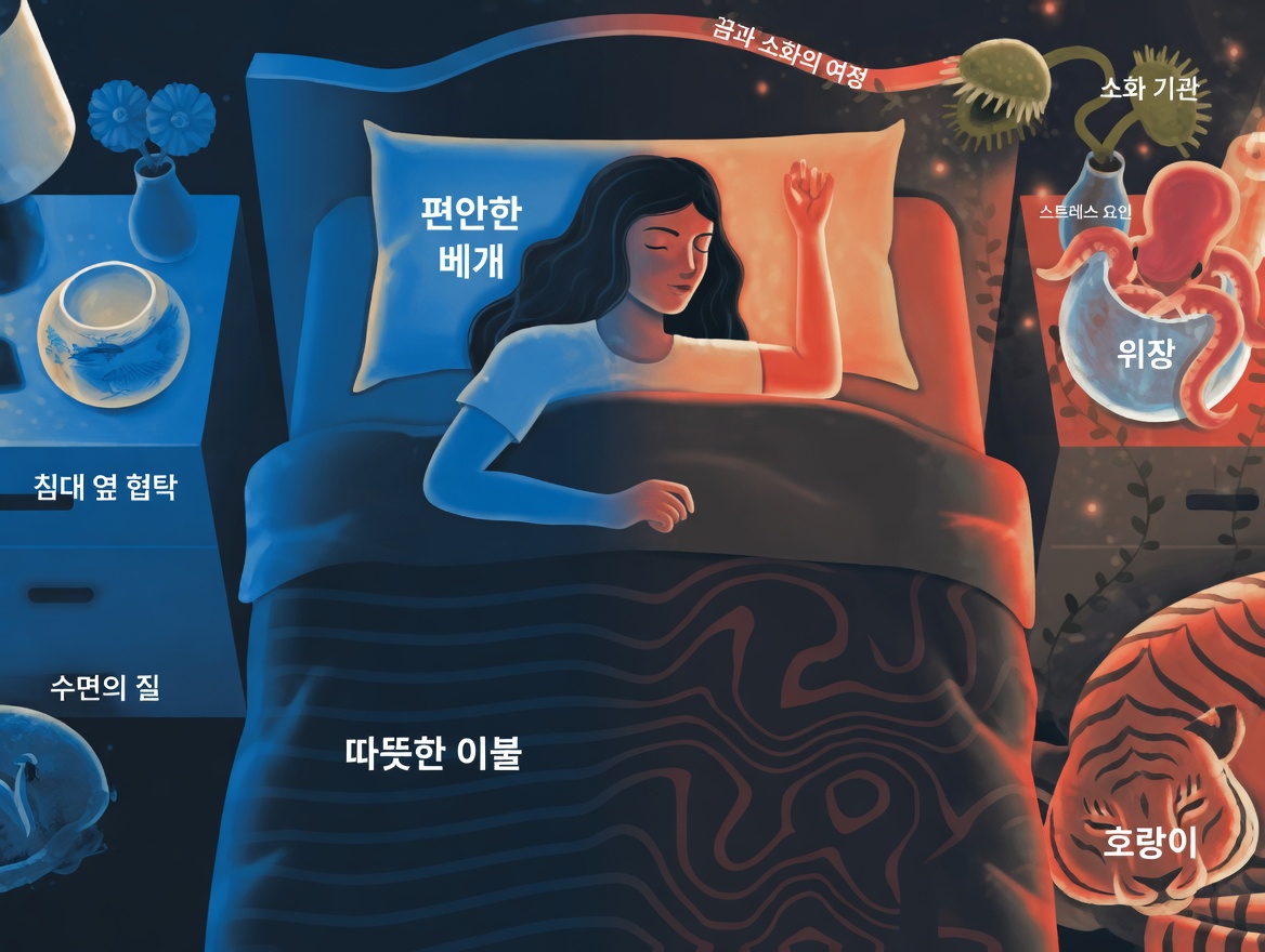 수면 습관과 노년기 뇌 건강 사이의 놀라운 연관성