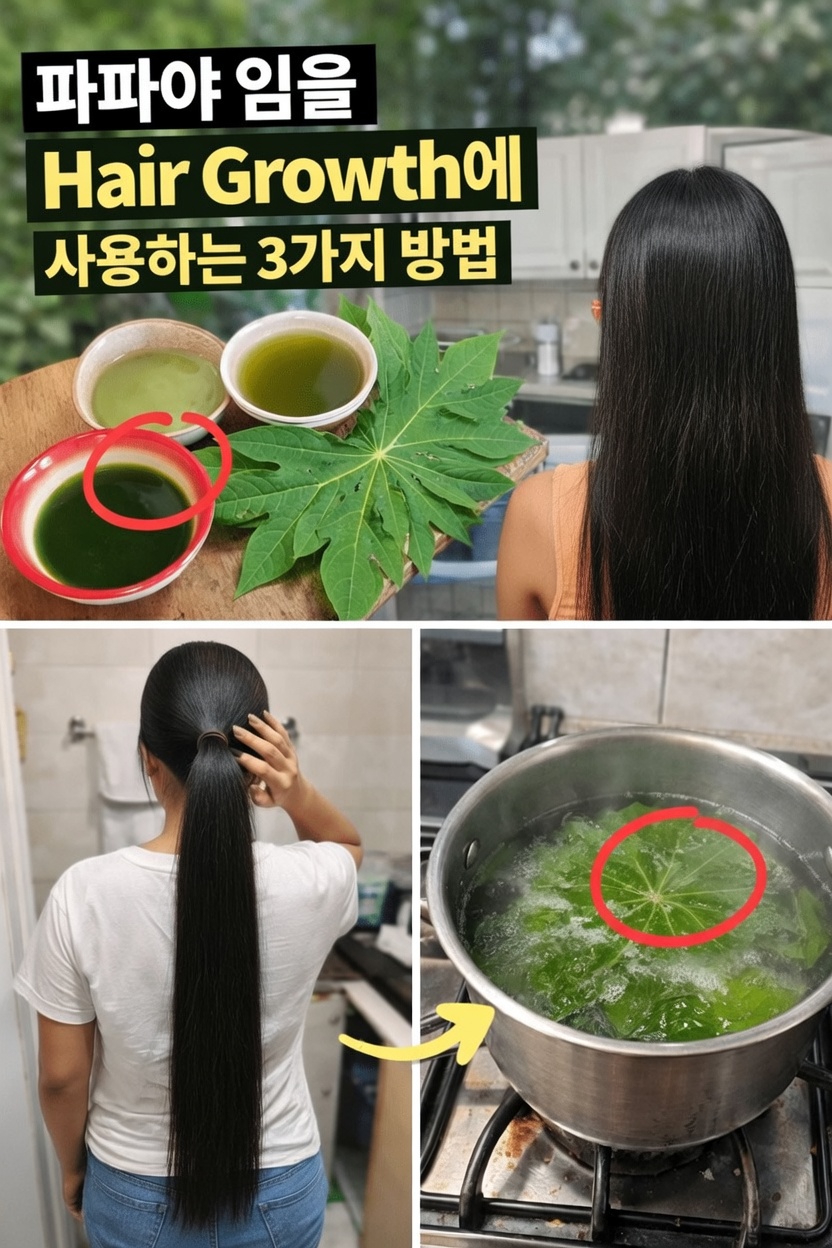 파파야 잎이 더 건강한 모발과 두피에 도움이 될까요? 시도해 볼 수 있는 간단한 DIY 방법 두 가지