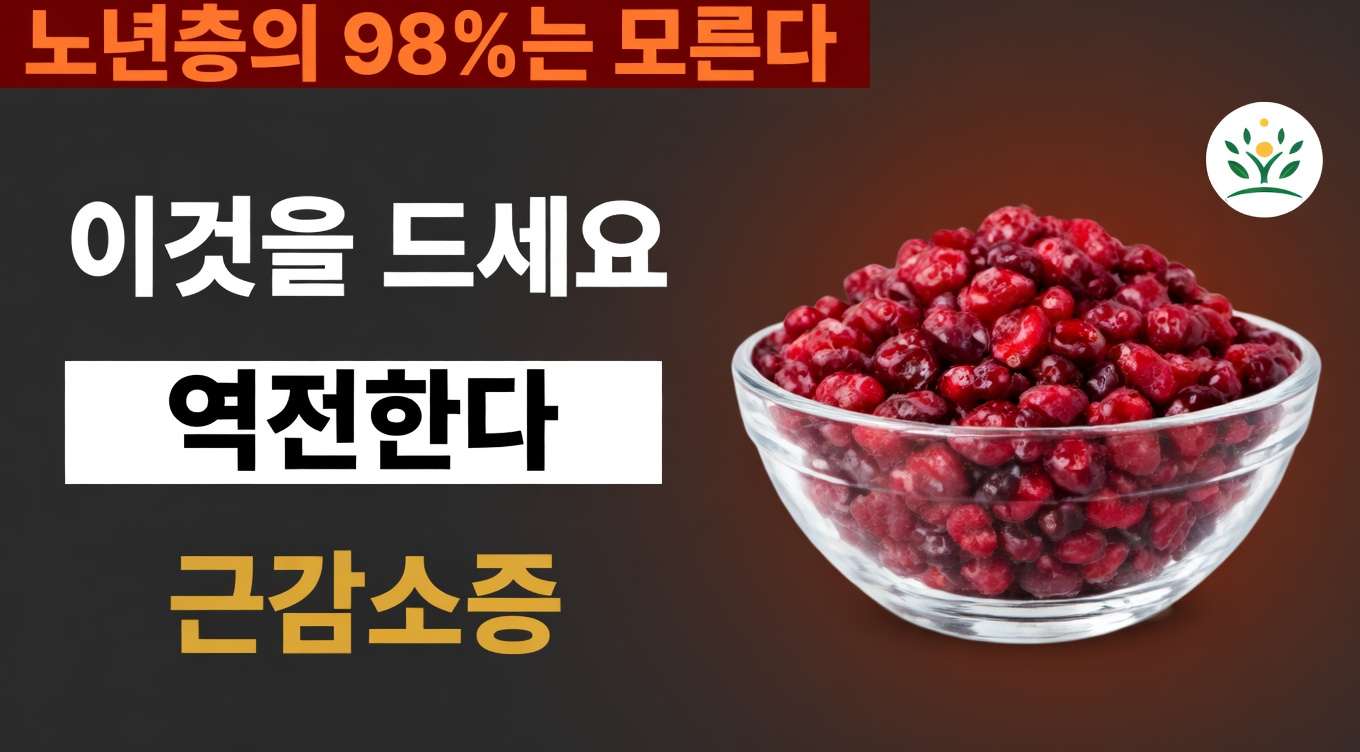 60세 이상을 위한 근육 건강에 좋은 영양 가득한 과일 5가지: 시니어 웰니스 가이드