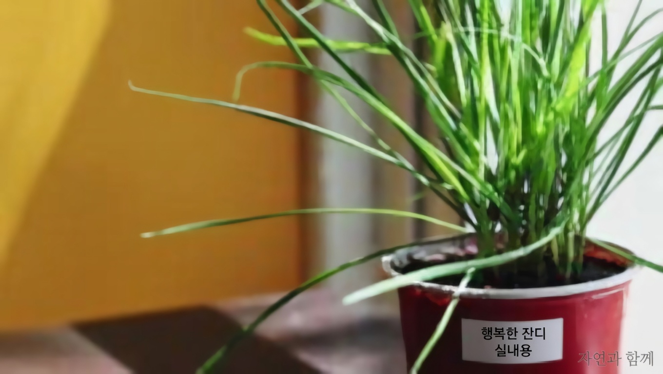 일본인동덩굴(Lonicera japonica): 건강 효능과 가정에서의 활용법