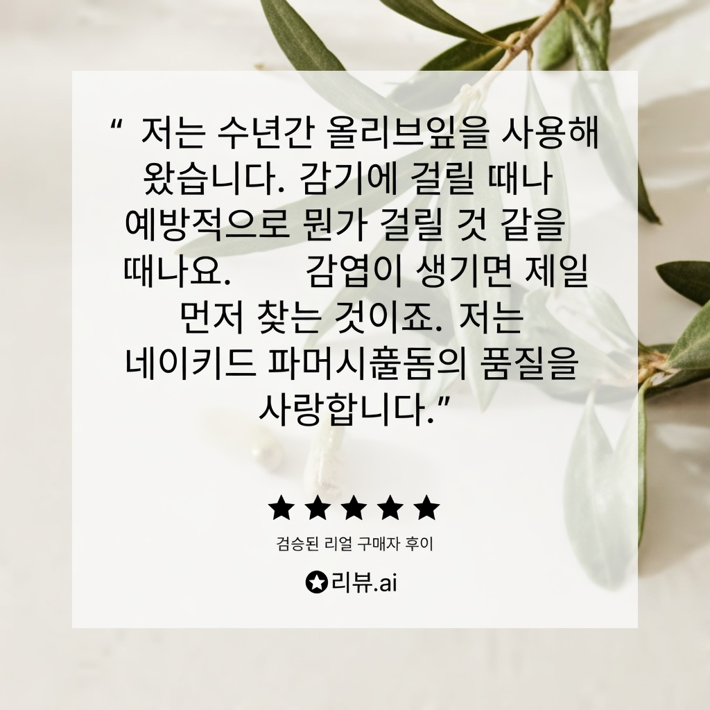 올리브 잎은 건강 증진에 도움이 될까? 천연 허브 습관에 대해 과학이 실제로 말하는 것