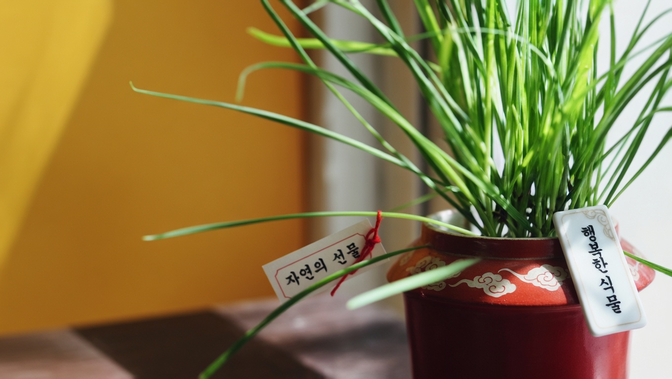 화이트 클로버(Trifolium repens): 15가지 효능과 집에서 활용하는 방법