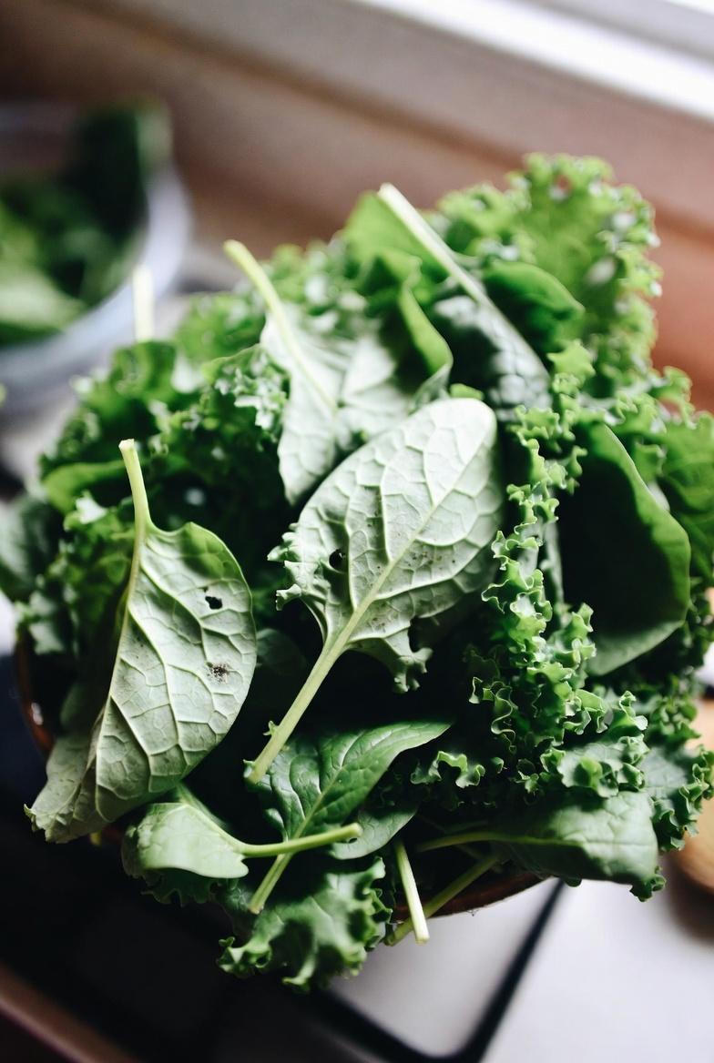 비타민 K가 노년층의 건강한 다리 혈액순환을 어떻게 돕는지 알아보세요