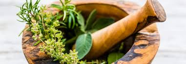 일상 허브로 건강한 다리 혈액순환을 돕는 간단한 방법 알아보기