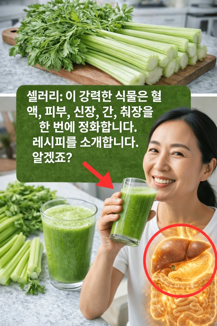 셀러리 주스를 아침 루틴에 추가할 가치가 있을까? 효능과 만드는 방법 자세히 살펴보기
