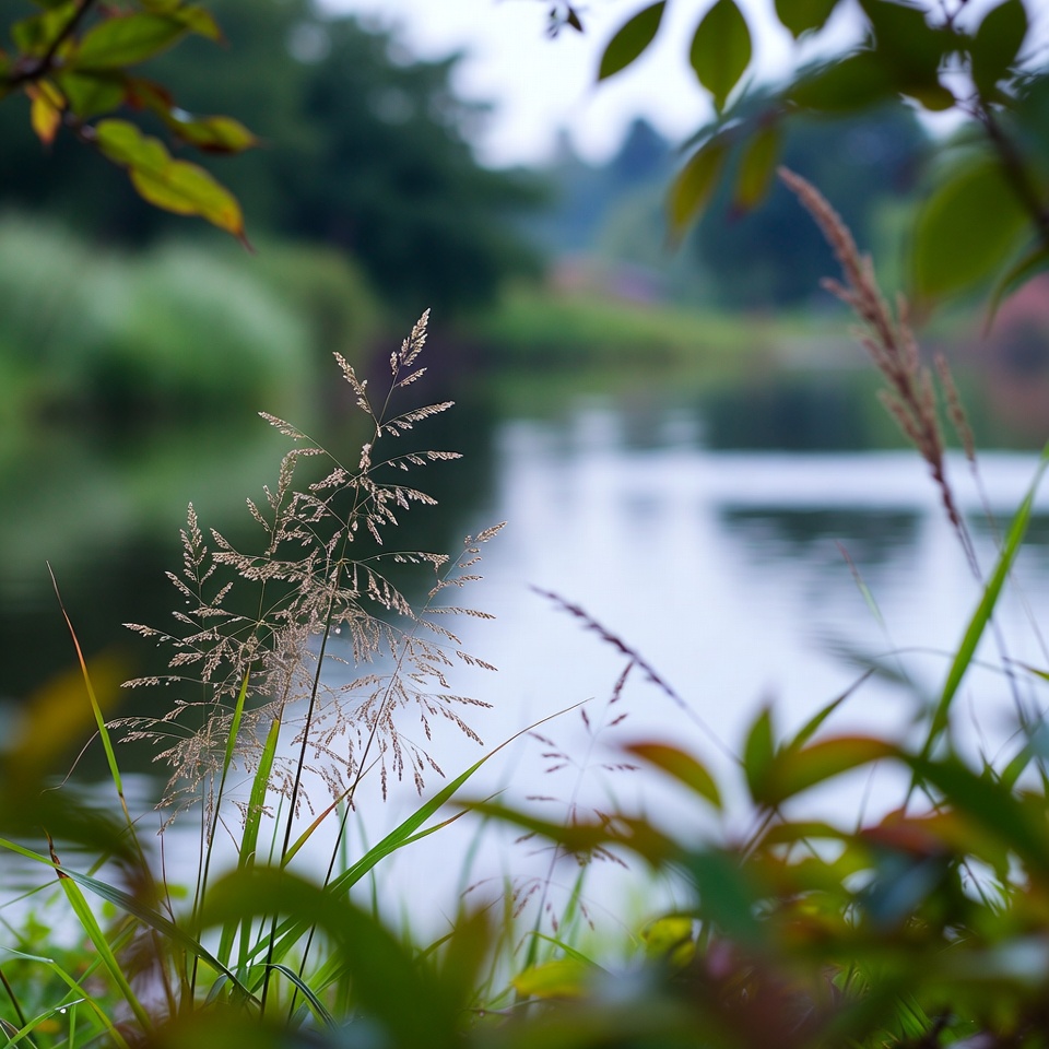 크랩그래스의 뜻밖의 건강 효능을 발견하세요: 웰니스를 위한 자연 요법