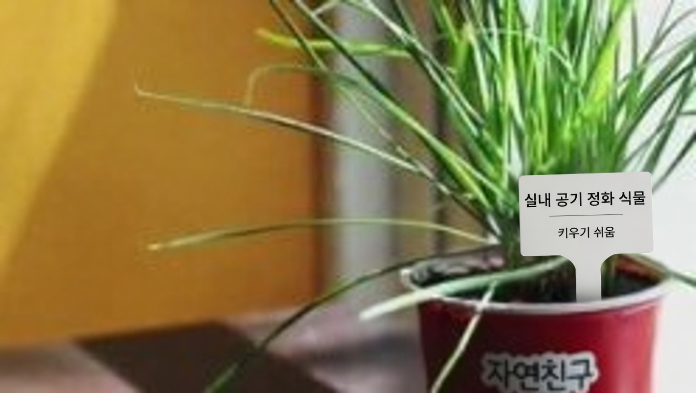 서양톱풀: 놀라운 건강 효능을 지닌 시대를 초월한 허브 동반자