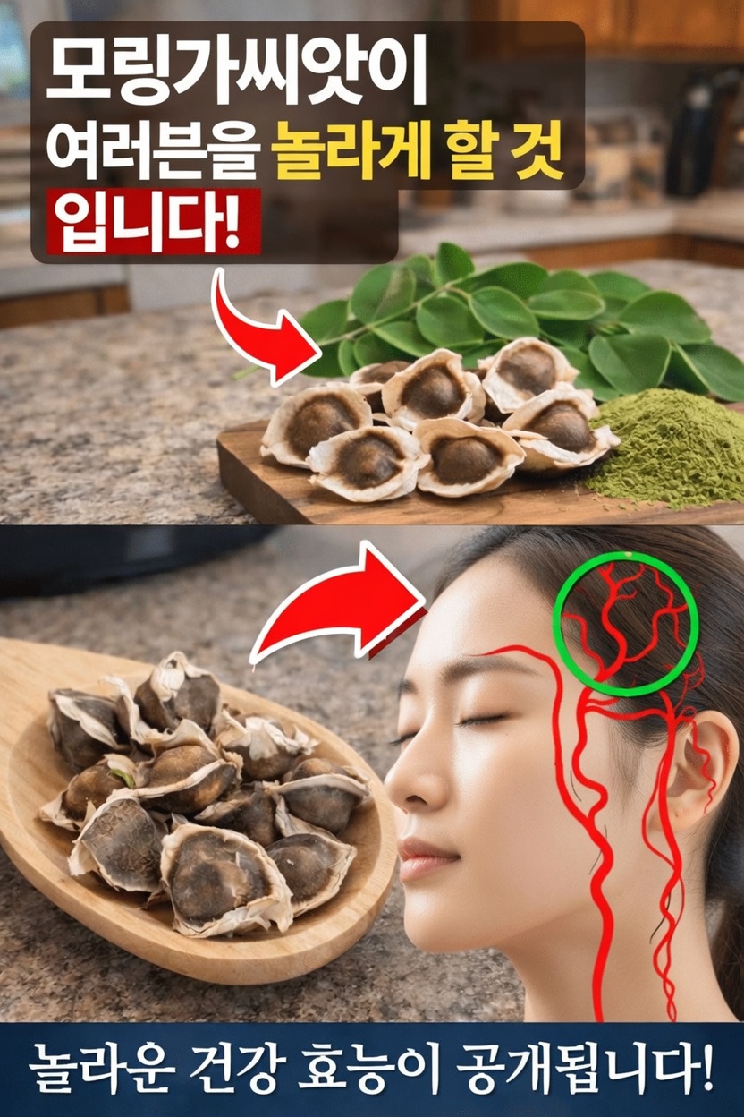 모링가 씨앗의 잠재적인 영양학적 이점은 무엇일까? 이 영양이 풍부한 슈퍼푸드를 자세히 살펴보기