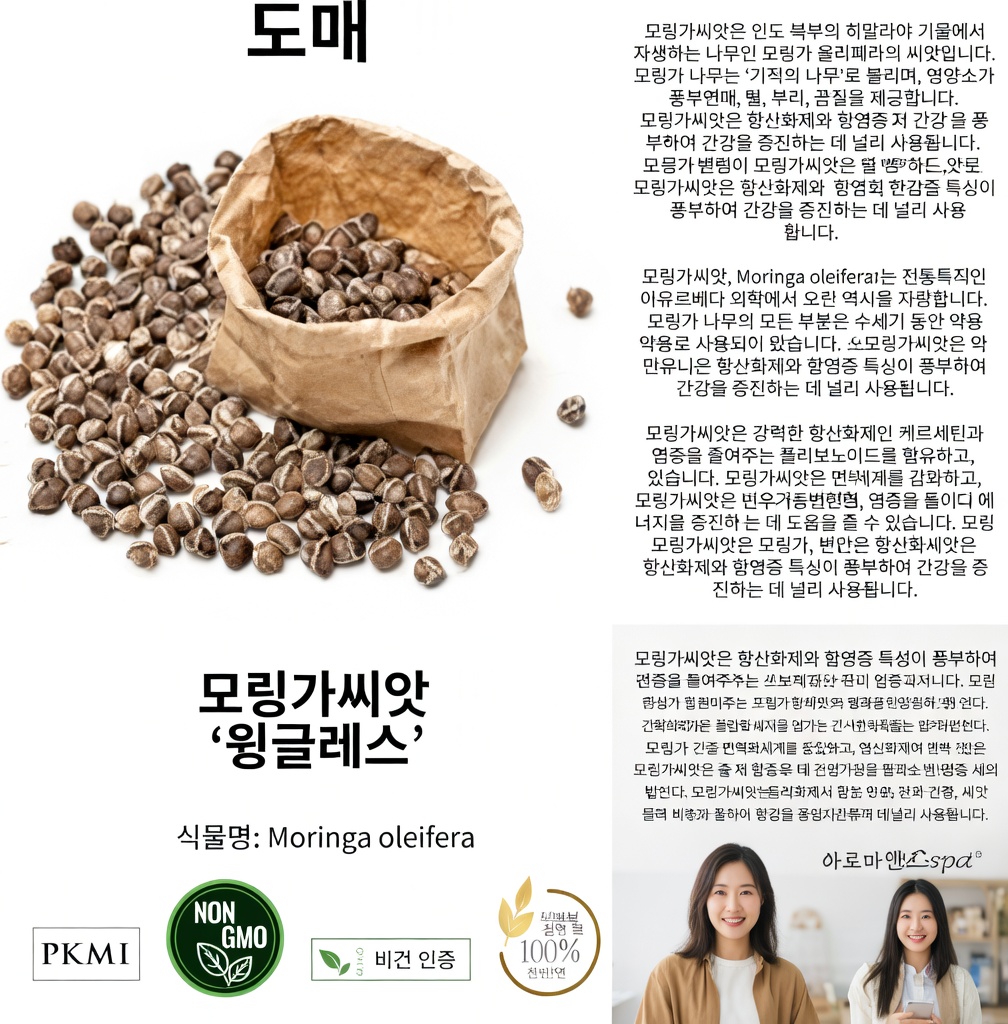 모링가 씨앗의 잠재적인 영양학적 이점은 무엇일까? 이 영양이 풍부한 슈퍼푸드를 자세히 살펴보기