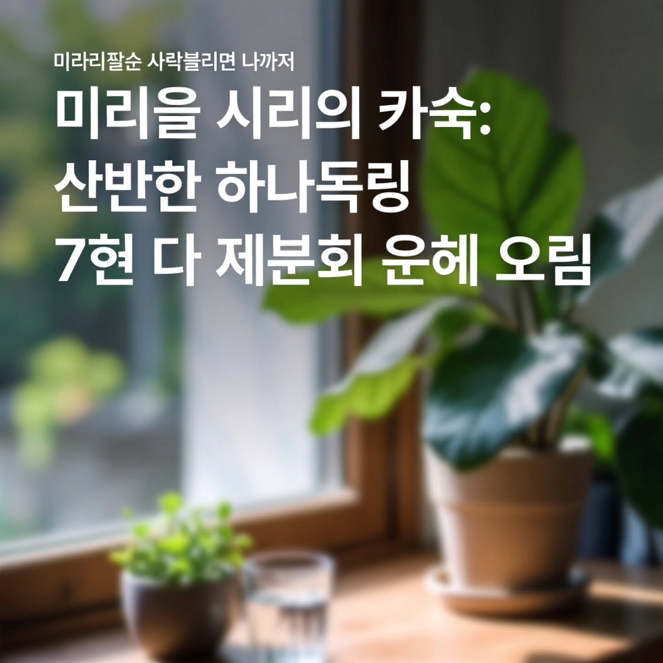 생명의 기적의 잎: 꼭 알아야 할 놀라운 건강 효능 7가지