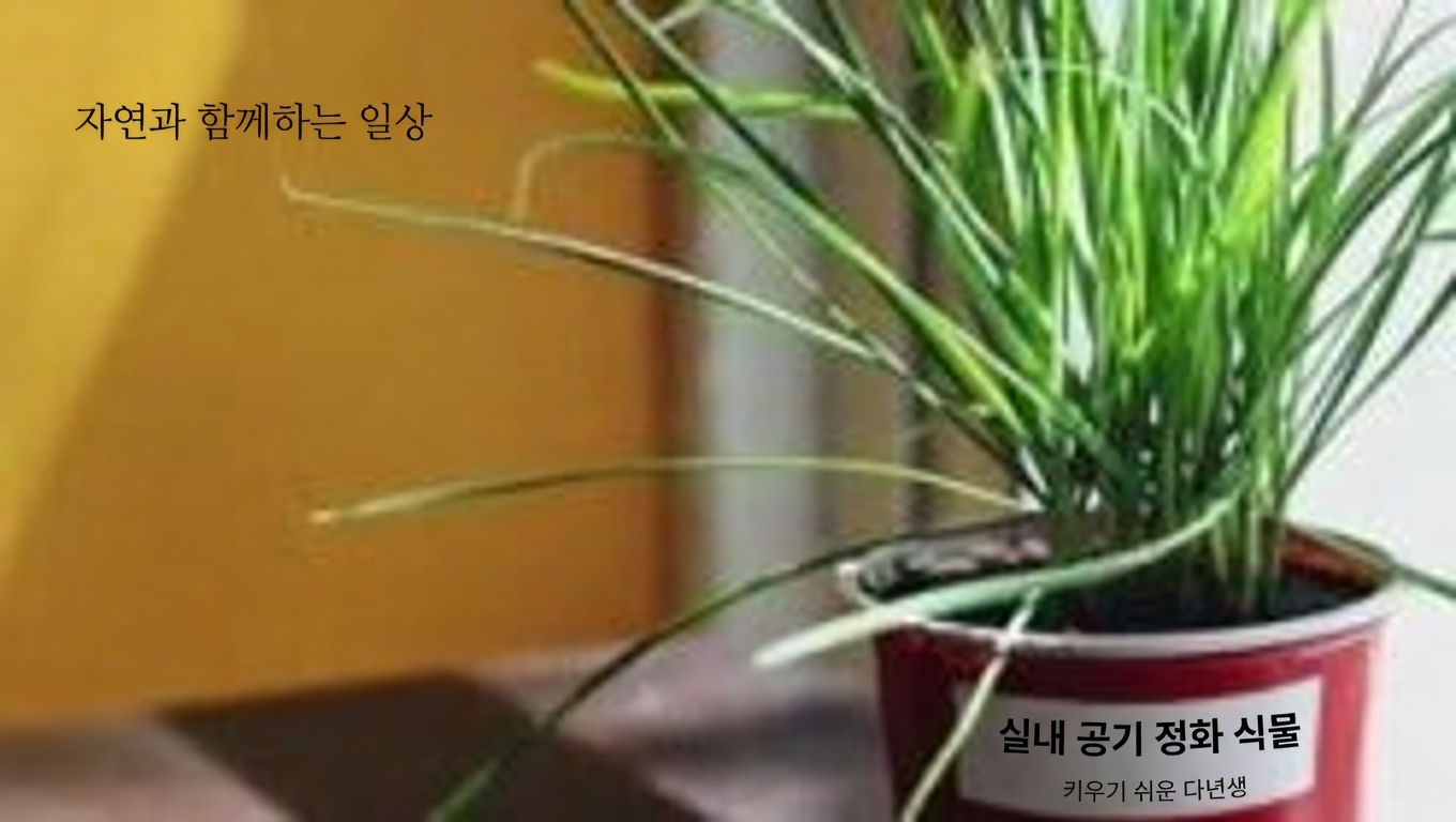 광엽 질경이(Plantago Major)의 놀라운 효능 30가지