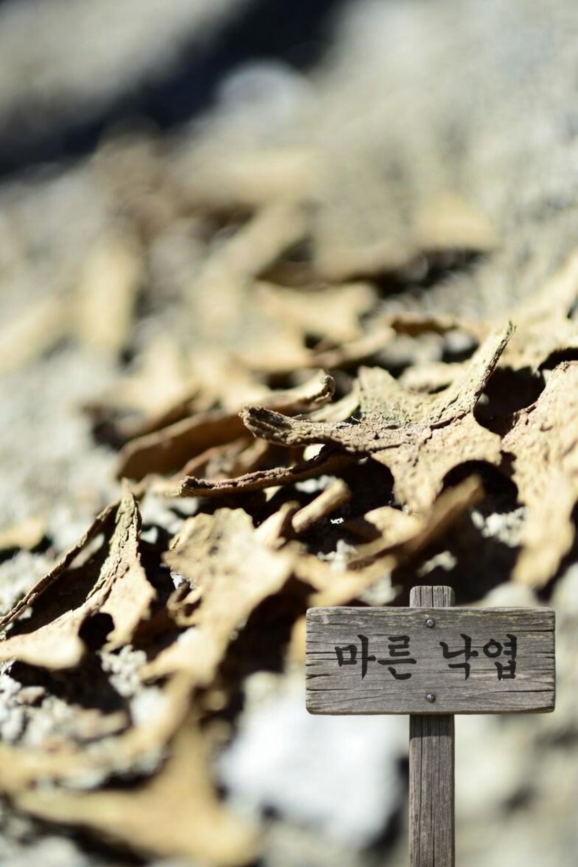 암로디핀은 무엇이며 왜 부작용을 일으키나요?