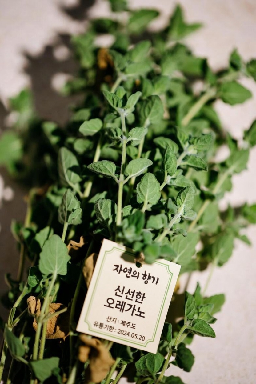 오레가노를 특별하게 만드는 것은 무엇인가?