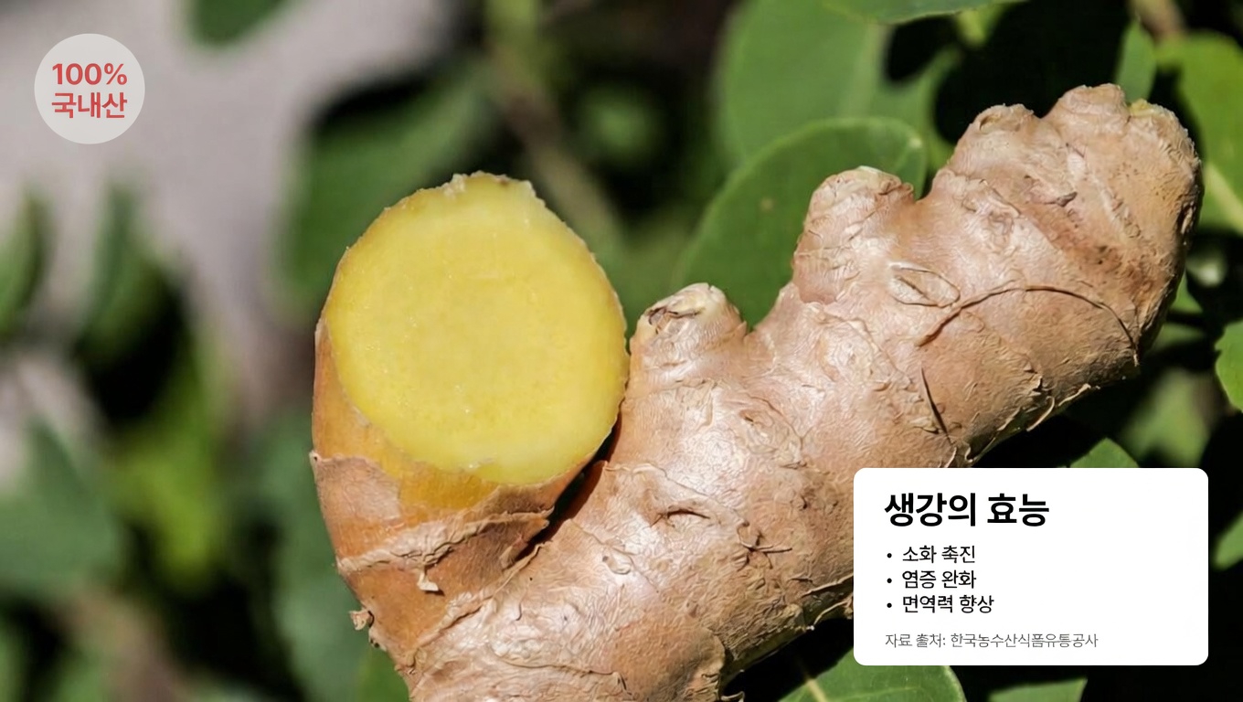 정말 생강을 피해야 할까요? 잠재적 우려에 대해 신뢰할 수 있는 출처가 말하는 것