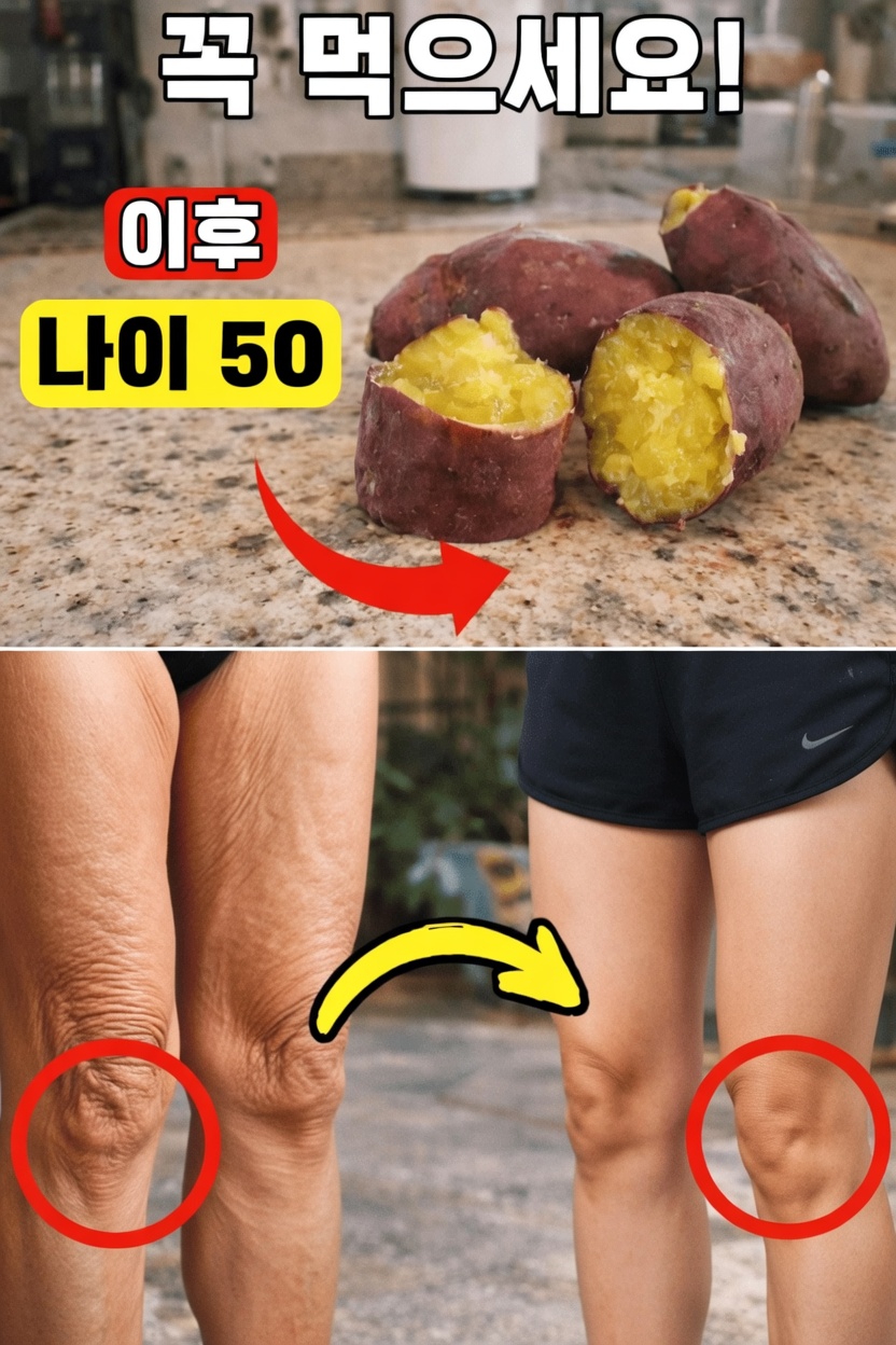 50세 이후 에너지 증진, 뼈 강화, 기억력 향상을 위해 매일 먹어야 할 천연 식품 12가지