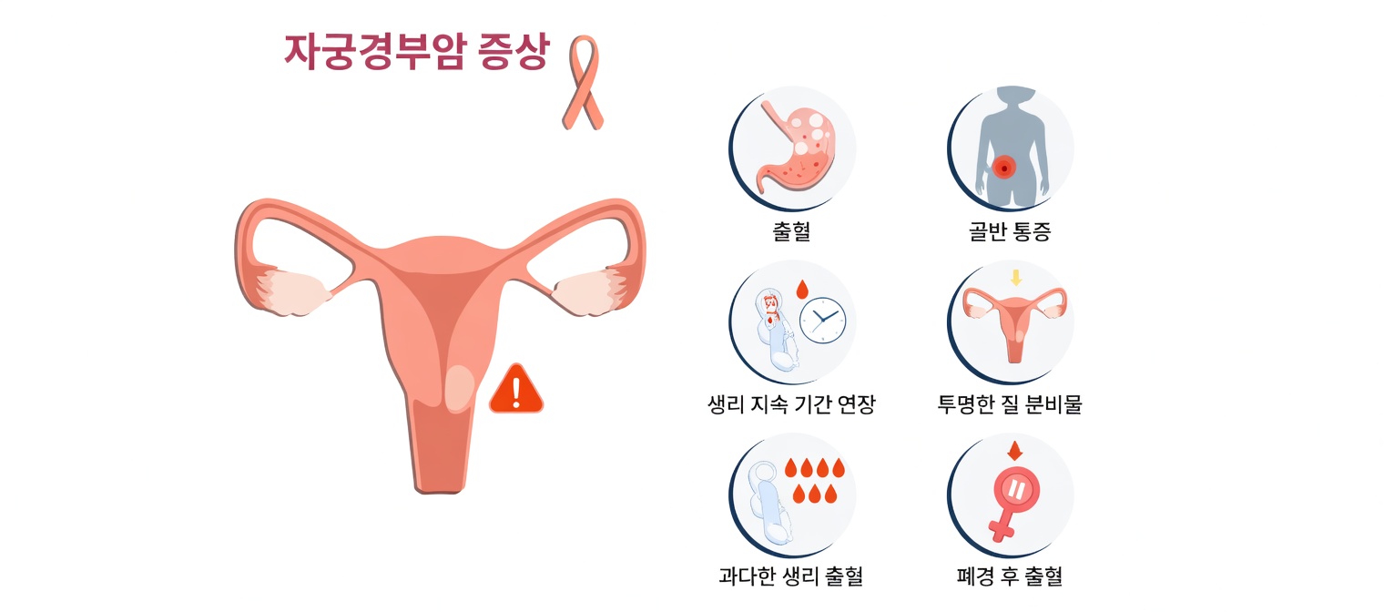 자궁에 주의가 필요할 수 있는 12가지 중요한 신호 – 오늘 당신의 몸에 귀 기울이세요