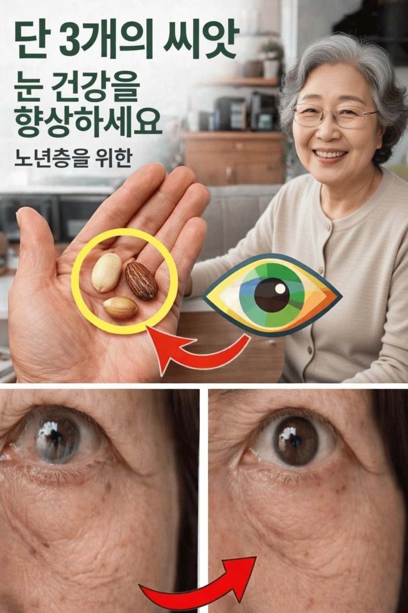 노년기 눈 건강에 영양이 중요한 이유