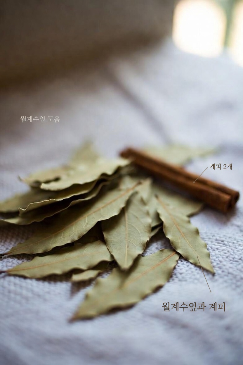 신장 건강 지원을 위한 계피와 월계수잎 차의 잠재적 효능 탐구